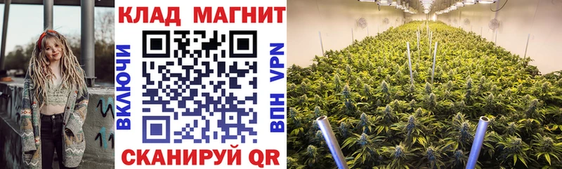 Где можно купить наркотики Брянск Кокаин СК ГАШ АМФЕТАМИН Героин Мефедрон