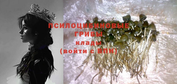 спайс Алзамай
