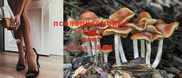 спайс Алзамай