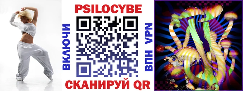 Галлюциногенные грибы Psilocybine cubensis сколько стоит OMG Брянск